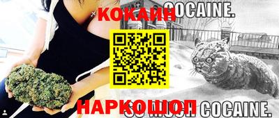 дмт Краснодар