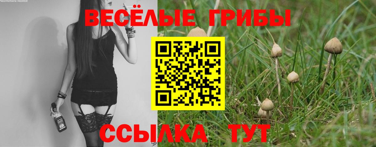 Красноармейск  Псилоцибиновые грибы Cubensis  Вход с VPN 