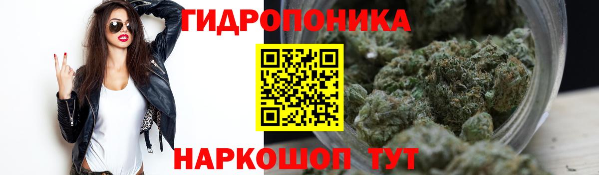 Бошки марихуана VHQ  Марихуана индика  Красноармейск  Бошки марихуана план  Вход с VPN 